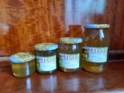 Miód pszczeli z przydomowej pasieki