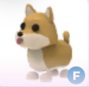 Shiba Inu F - Adopt Me Roblox