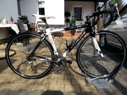 Jak nowy SPECIALIZED ALLEZ E5 Alu/carbon AEROTEC pełna grupa ULTEGRA !!!