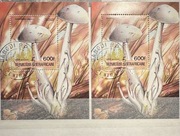 Zestaw dwóch bloków 