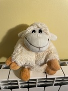 Owieczka przytulanka poduszka pamiątka z Bukowiny Tatrzańskiej