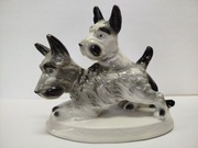 Para Piesków Psy Teriery Gräfenthal 1906-1935