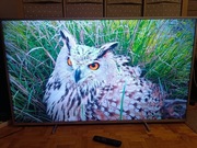 Telewizor PHILIPS 65PUS6554/12 65" LED 4K Smart TV HDR10 DVB-T2