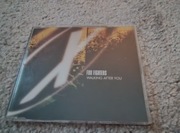 Foo Fighters - Walking After You CD Single