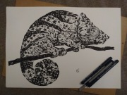 Rysunek: kameleon 2 - cienk - blok t. A3 250 g/m2