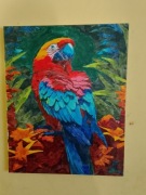 Papuga - Paintbynumber