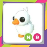 Neon Ride Happy Duckling NR | Adopt Me | Roblox
