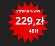 SZOK! Twoja Profesjonalna Strona WWW w 48h za JEDYNE 229 