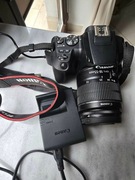 Aparat cyfrowy Canon 250D