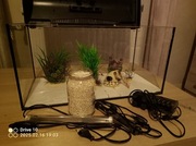 Akwarium zestaw LEDDY 60 AQUAEL