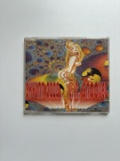 Płyta CD Skylab 2000 l.a. Grooves