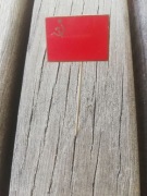 Odznaka Flaga ZSRR - PRL