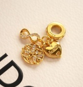 Charms pandora family