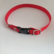 Obroża regulowana dla kota regulowana 25 cm