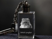 British Longhair brelok sześcienny Świecący
