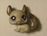Littlest Pet Shop SZYNSZYLA LPS