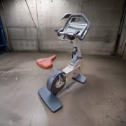 Rower siedzący - Technogym (3 sztuki)  - również inne zobacz...