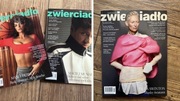 Zwierciadło 2/2025 +GRATIS Maciej Musiał Maria Dębska Tilda Swinton Gazeta