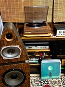 gramofon  DUAL-  po przeglądnie i serwisie.