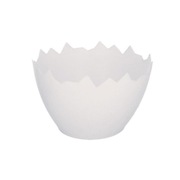 Biała osłonka - skorupka