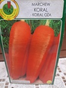 Marchew nasiona 'Koral'