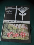 Rzodkiewka Rzepa ... Kryńska 