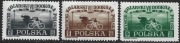 VII Wyścig Kolarski Dookoła Polski Fi 456-8 czyste 