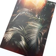 plakat obrazy palma monstera zieleń roslina boho