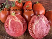 Sakiewki pomidor nasiona 