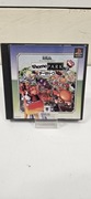 Playstation 1Theme Park Japoński NTSCJ Naklejki