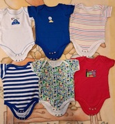 Body Early fays 6-9 m. 6 sztuk