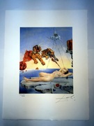 SALVADOR DALI GRAFIKA