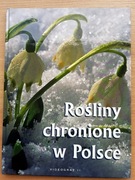 Rośliny chronione w Polsce