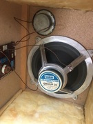 Głośniki do gitary 12 cali z Marshall cabinets