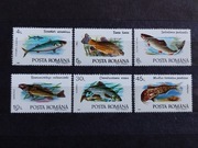 Znaczki Rumunia 1992 fauna ryby