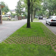 Płyta tarasowa Polbruk Meba gr. 8 cm podjazd ścieżka trawnik