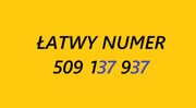 Złoty srebrny łatwy numer 509 137 937 BCM starter prosty karta prepaid SIM