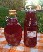 ŻYWY OCET WIELOOWOCOWY (250 ml) - W NASZEJ SPIŻARNI