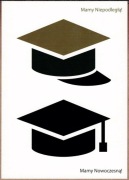 Niepodległa Muzeum Piłsudskiego w Sulejówku Sejm RP