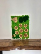 Obraz z mchu i drewna – Dekoracja ścienna z mchu stabilizowanego