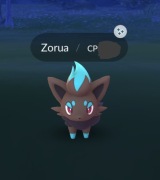 Konto Pokemon go > Shiny ZORUA <
