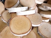 Plastry brzozy drewna krążki ok 7-8cm bez szlifu