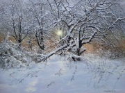 Obraz pejzaż zima słońce natura akryl realizm śnieg styczeń