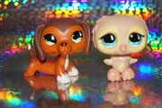 Littlest Pet Shop LPS #675 jamnik Savannah #674 sowa oryginał pop