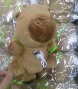 Chodząca tańcząca grająca zabawka kapibara na kabel USB dla dzieci 