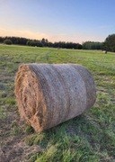 Siano w balotach 120x120