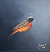 Obraz olejny pleszka 20x20 cm, ptaki Polski