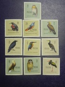 Ptaki Chronione w Polsce (1960)