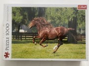 Puzzle Trefl 1000