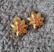 Przypinka - USCG Auxiliary - District Staff Officer (DSO) OF-3